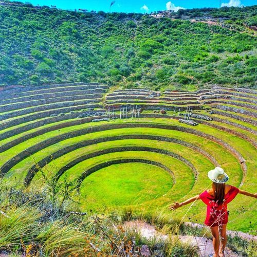 WhatsApp Image 2018-10-22 at 12.36.09 (2)